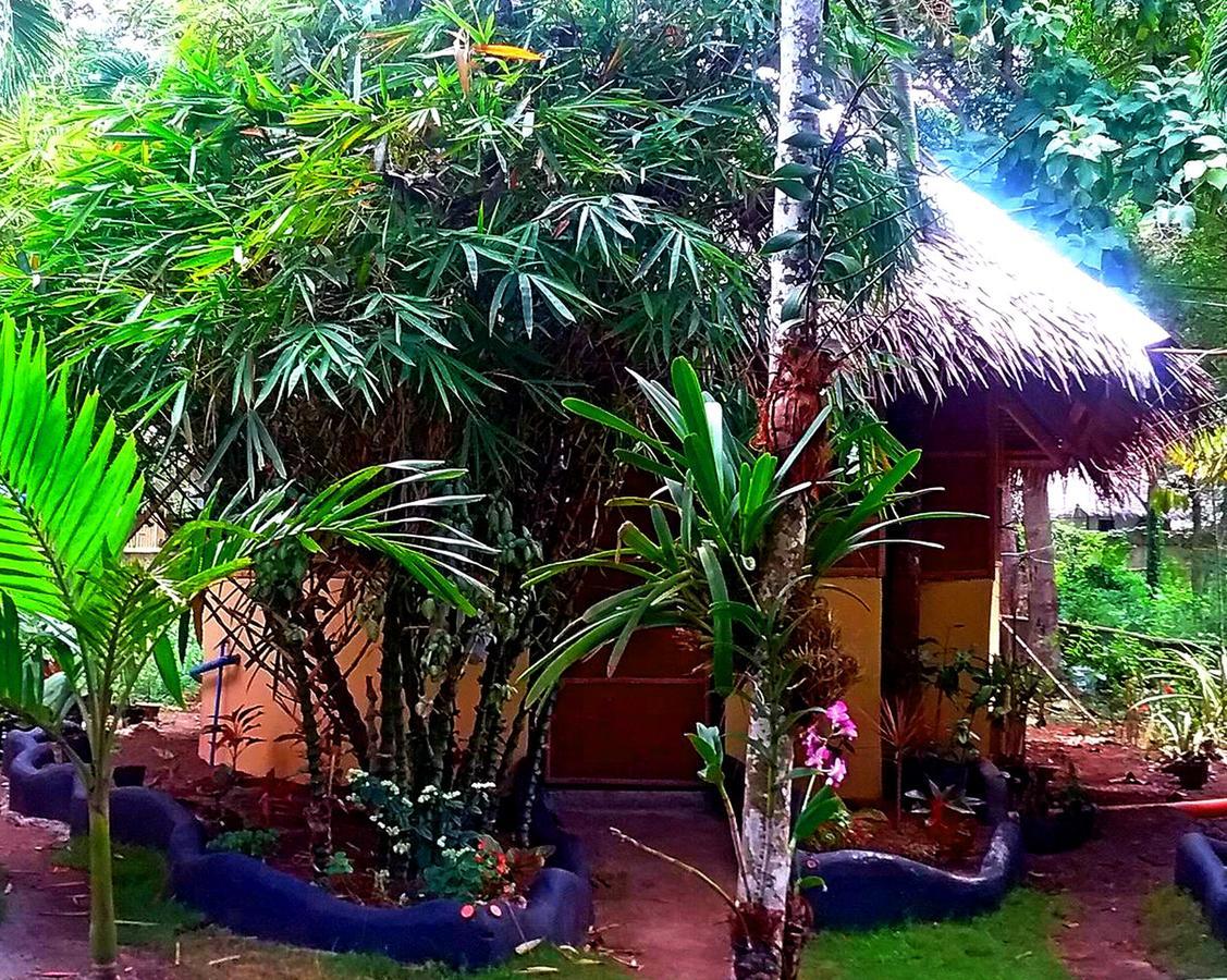Lennon'S Place Backpacker Hostel Panglao Exterior foto